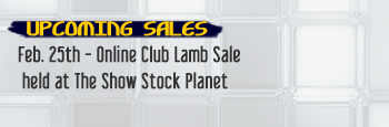 Upcoming Sales
